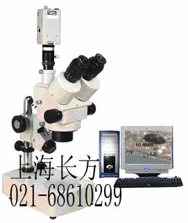 ����y���x|��������x|���ӽ������