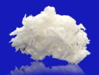 �մ��w�S��