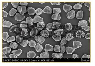 ����ʯ΢��SCMD-AA��AA��΢�ۣ�