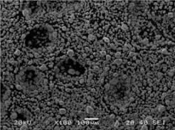 ���������~��