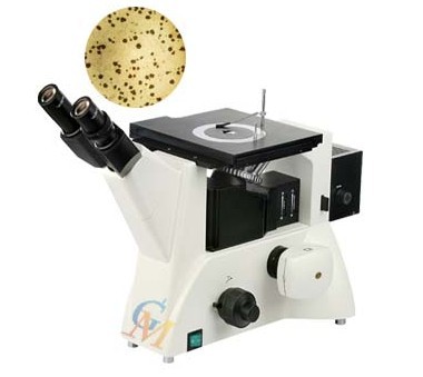 �^��ұ���ĩ���w����С