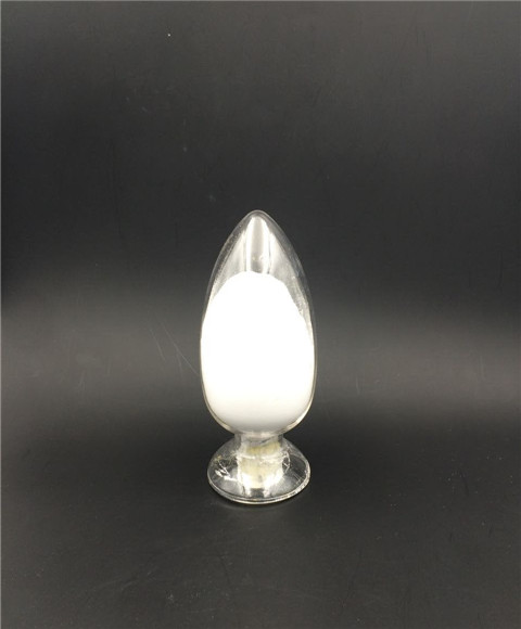 ���������� �{�׵�����