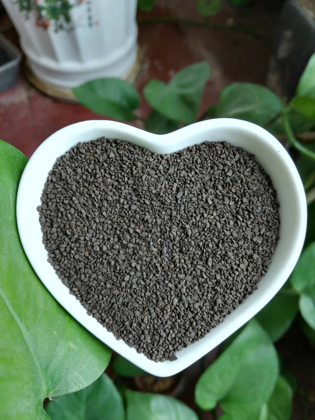 �������i�ۃr��