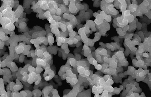 ����(x��)Ⓑ�