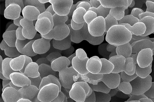 �����Ⓑ�