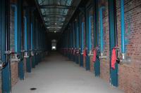 ߀ԭ�F��ȼ?x��)������G