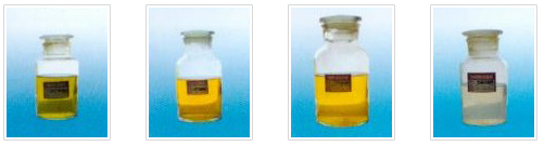 SBPӲ�|�Ͻ���̈́�