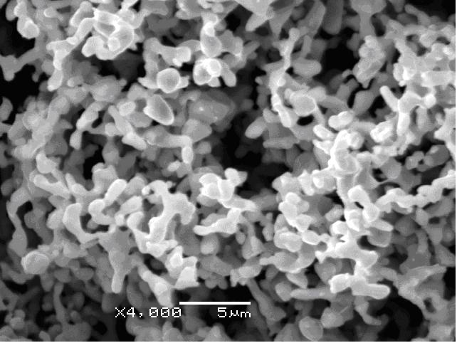 �����F��SR-1