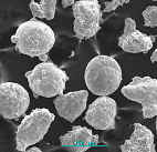 �F���~�a10