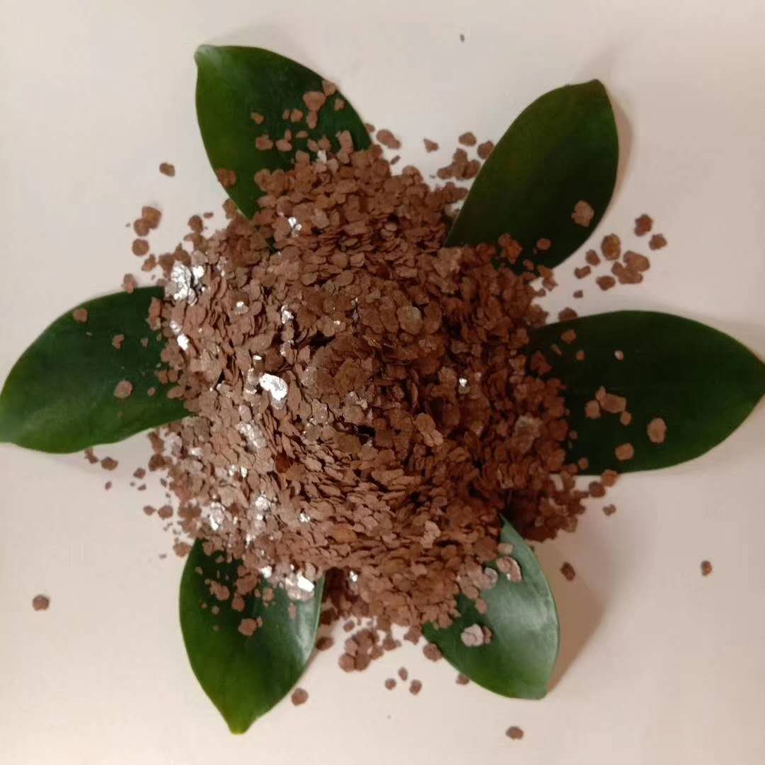 ������ɰ ��ĸ �rƬϵ��