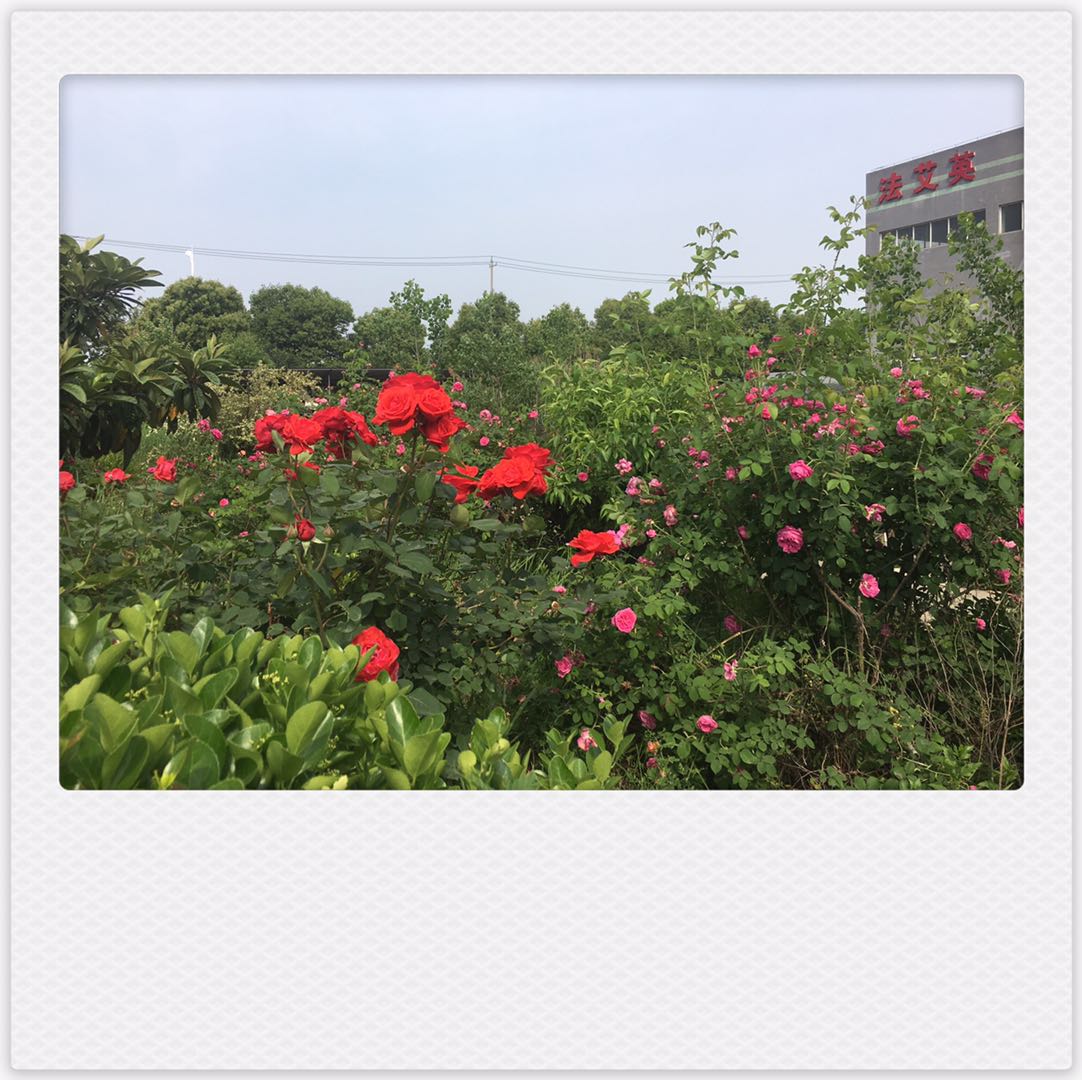 ����160T��ĩұ���ĩ���͉��C