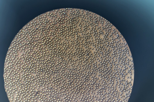 �F�Y�����x�����D늘O���η� ��������⁺Ͻ��ĩ