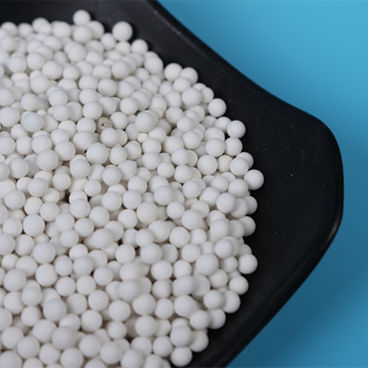 ΢�������X�� �մ��� 95���X�� ������ ��ĥ�� ���������X��