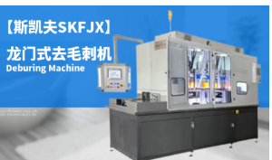 ���Tʽȥë�̙C